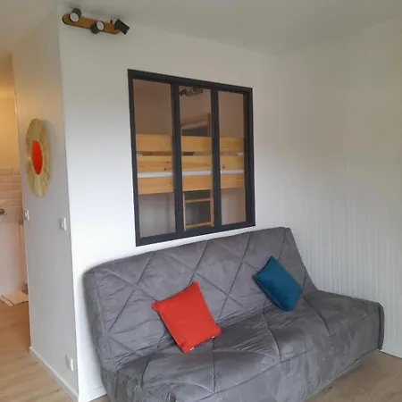 Le Lioran Apartment